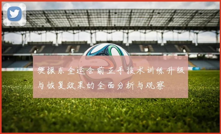 樊振东全运会前正手技术训练升级与恢复效果的全面分析与观察