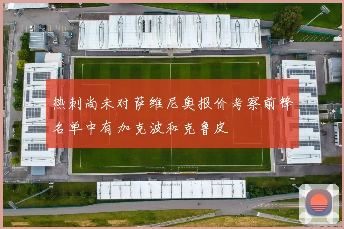 热刺尚未对萨维尼奥报价考察前锋名单中有加克波和克鲁皮